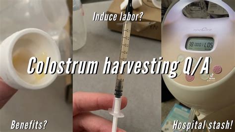 when does colostrum start leaking|Leaking Milk During Pregnancy: When and Why It Happens